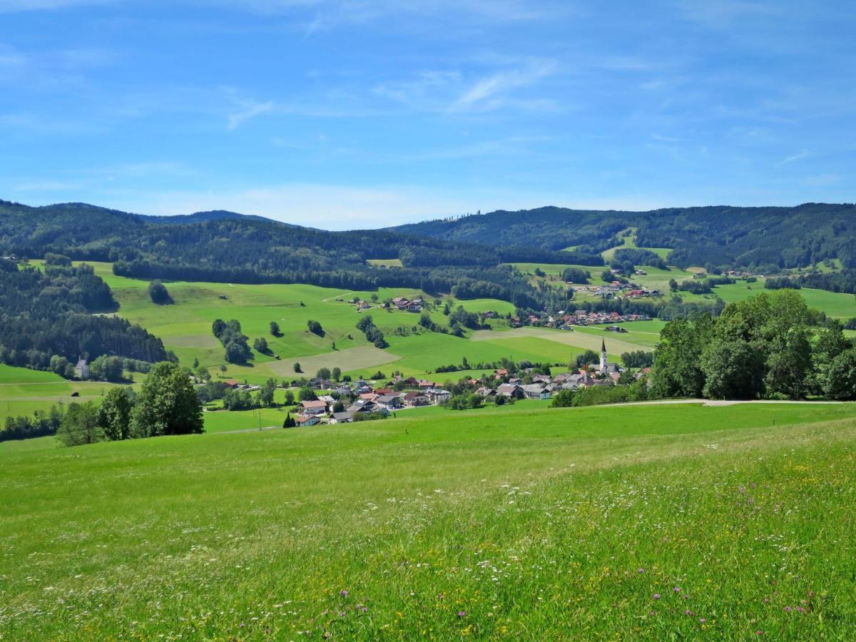 Holiday Home Mayrhofer - Mon240 By Interhome Oberwang Exterior photo